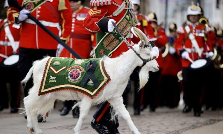 التيس شينكن الرابع