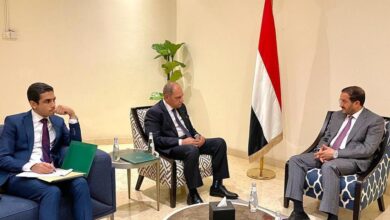 دور مصر الداعم للشرعية