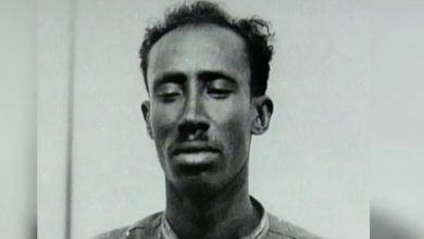 محمود ماتان