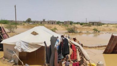 الأمم المتحدة