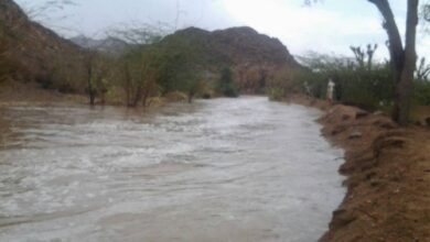 مديرية حبان