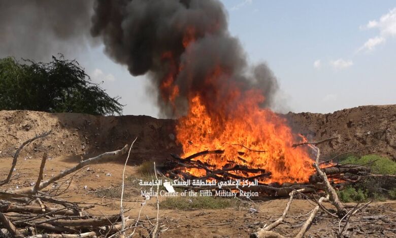 مادة الحشيش