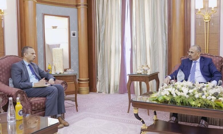 جوانب الدعم العسكري والاقتصادي