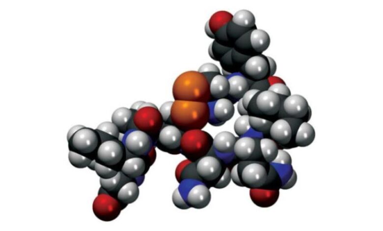 هرمون القلب