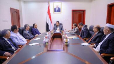 الاستثمار والقطاع الخاص