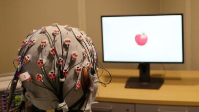 آلة قراءة العقل