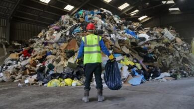 أكياس البلاستيك