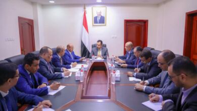 الدين العام