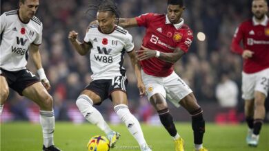 مانشستر سيتي فولهام