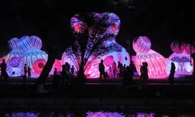 مهرجان نور الرياض