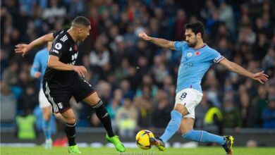 هالاند الدوري الإنجليزي